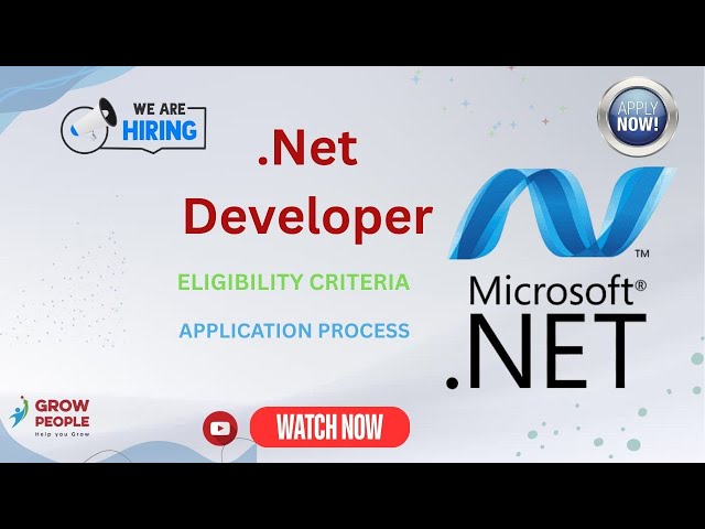 Dot Net Developer