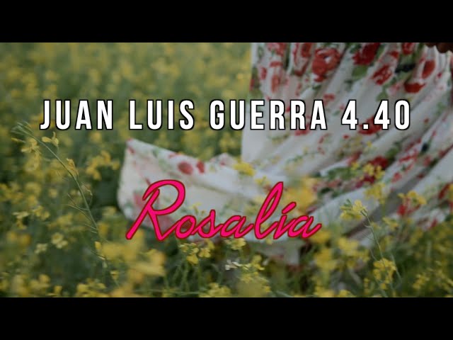 Juan Luis Guerra 4.40 - Rosalia (Lyric Video)