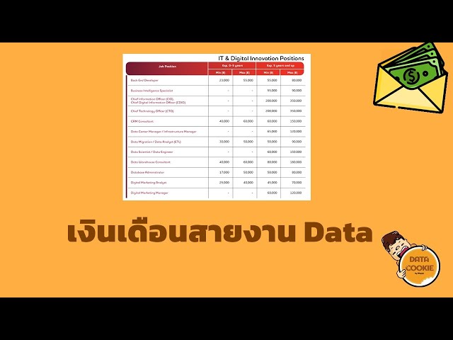 เงินเดือนสายงานData 💵