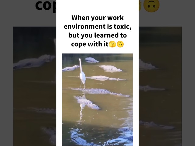 #viralvideo #ytshorts #corporatelife #comedy #memes