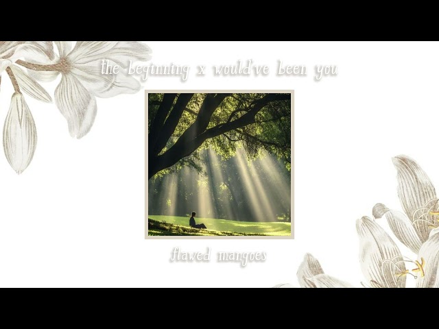 the beginning x would've been you || a sombr & flawed mangoes mix ⋆˚꩜｡⋆