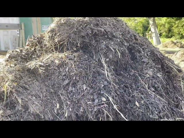Adding some nitrogen to the compost