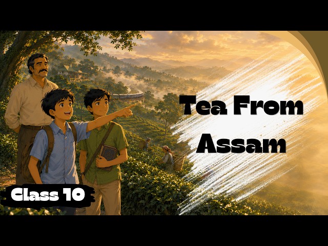 Tea From Assam | Class 10 CBSE | Glimpses Of India | Short Summary