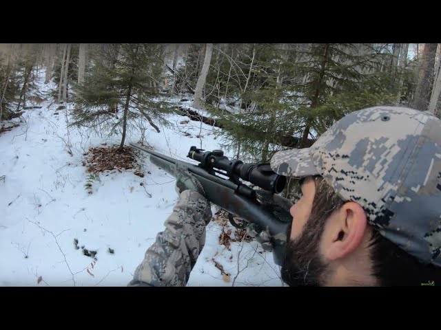 Big Buck Tracking in 4K