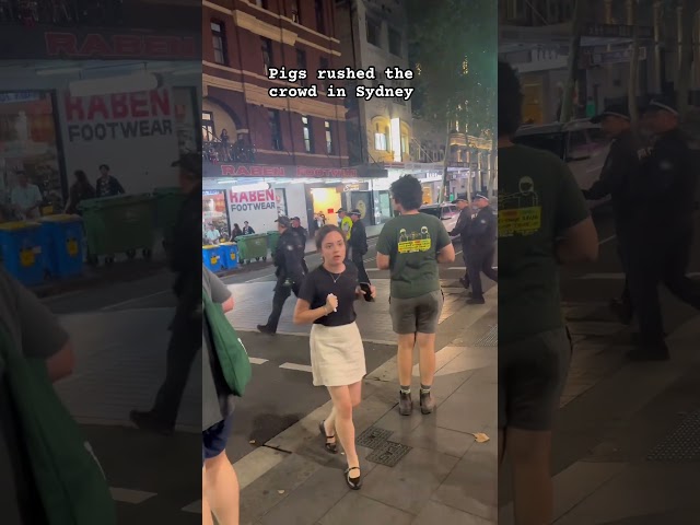 Pigs rushed the crowd in Sydney (including me)