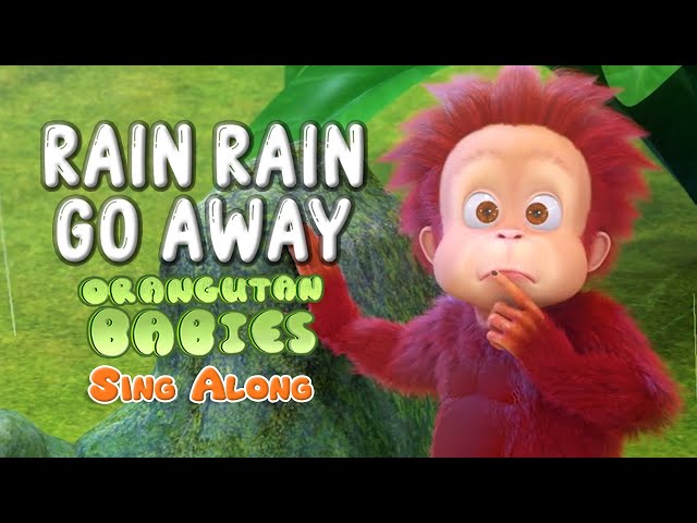Rain Rain Go Away - Orangutan Babies | #SingAlong #NurseryRhymes #RainRainGoAway
