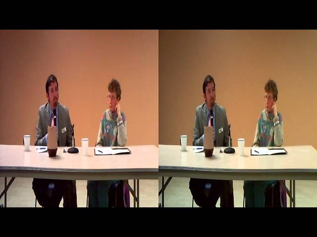 RPD12.8: Can naturalism account for qualia?