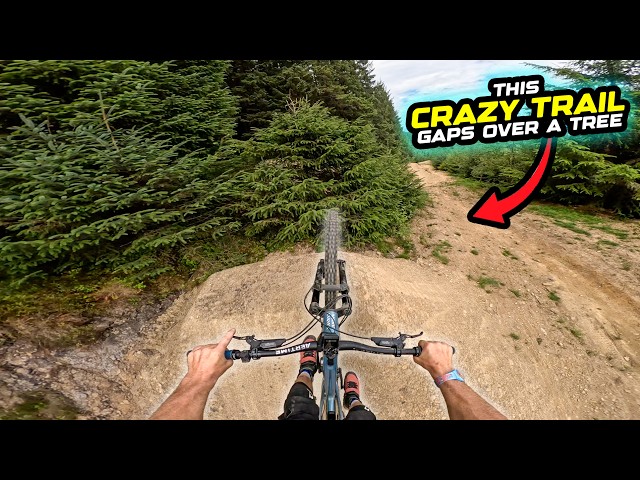 THIS MTB GADGET WILL 100% MAKE YOU JUMP FARTHER - BOSCH TRICK CHECK!