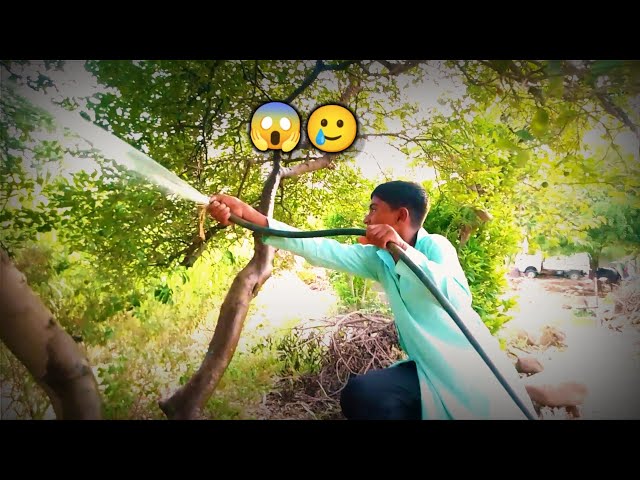 मधुमखियों...से बच गये ...🤯‎@abhiii_lad   #youtubevideo