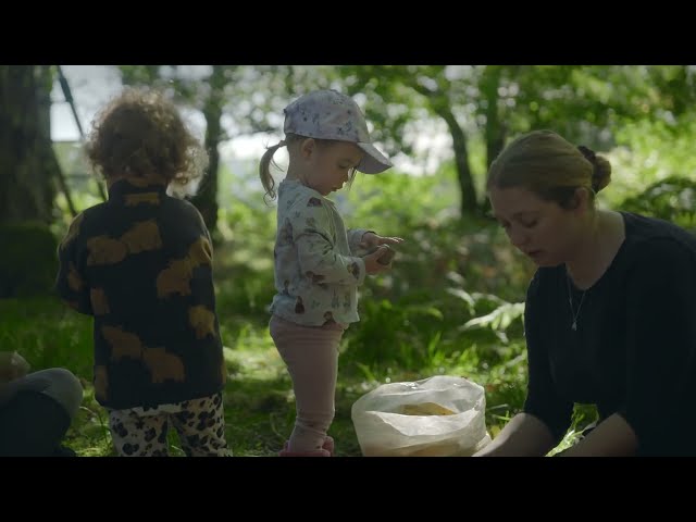 Meet the community restoring their temperate rainforest for biodiversity and recreation