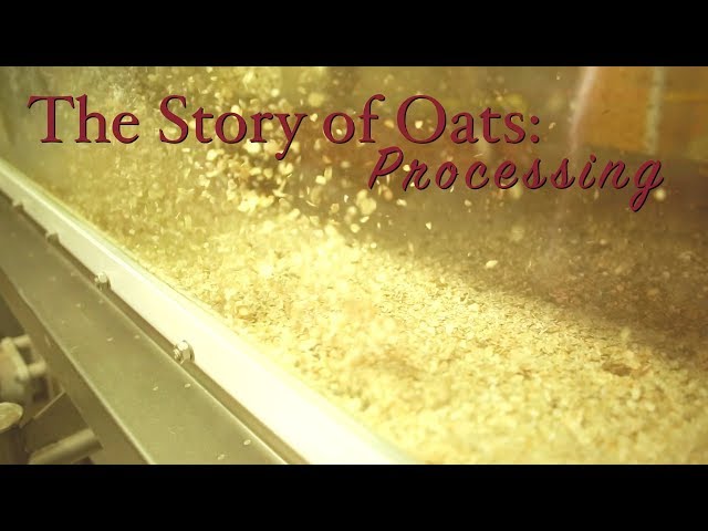 Story of Oats: Processing