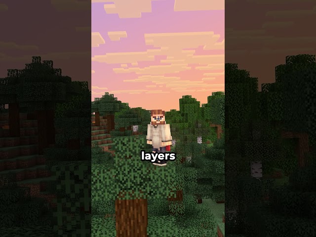 what if minecraft was in 2D?