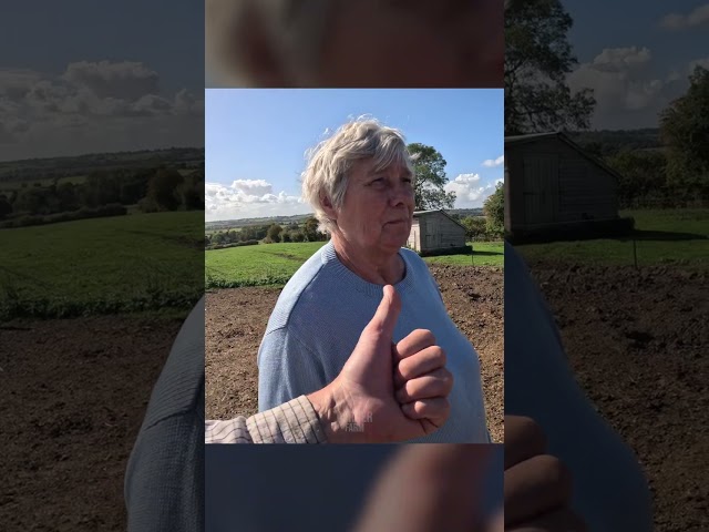 She spent £4500 on chickens!🐓🤯 #shorts #foryou #funny #chickens #fyp #money