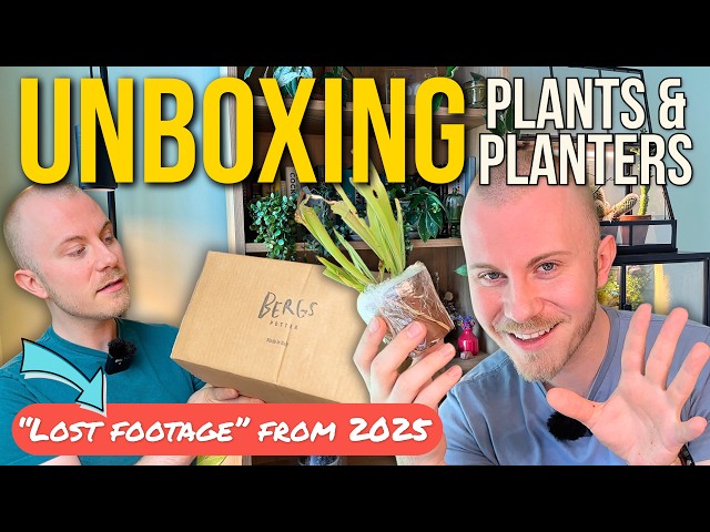 Unboxing Houseplants From Gabriella Plants + New Planters (Lost Footage From 2025)