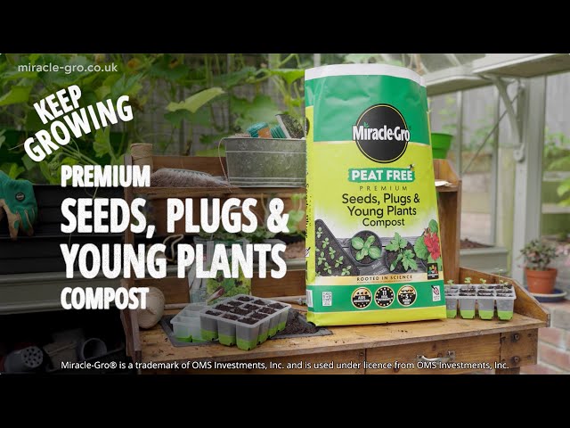 Miracle-Gro® Peat Free Compost for Seeds, Plugs & Young Plants | Strong Roots & Growth