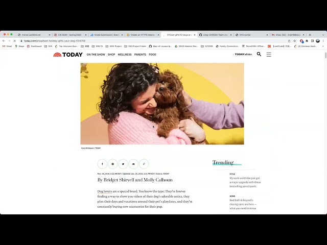 Mini-Google search engine developed with Java backend.