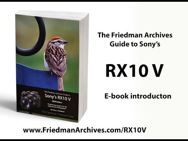 RX10 V Explainer Video