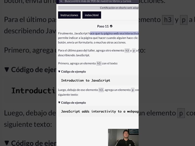010 & 011 FreeCodeCamp - Web Adaptable