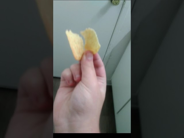 first food review... #memes #funnymemes #funny #food #chip #foodreview #pringles #whatdadogdoin #dog