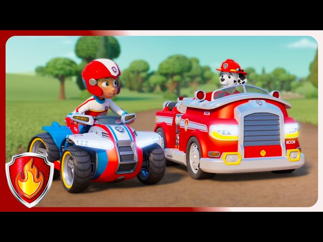 Best Big Brother! | Marshall PAW Patrol  | Cartoons For Kids
