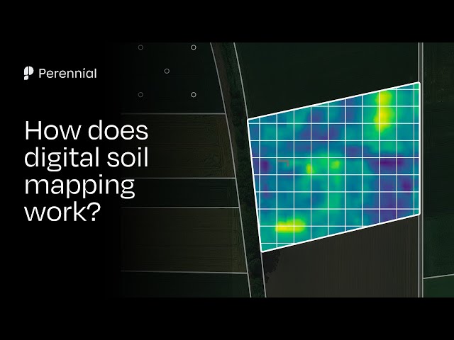 How does digital soil mapping work?