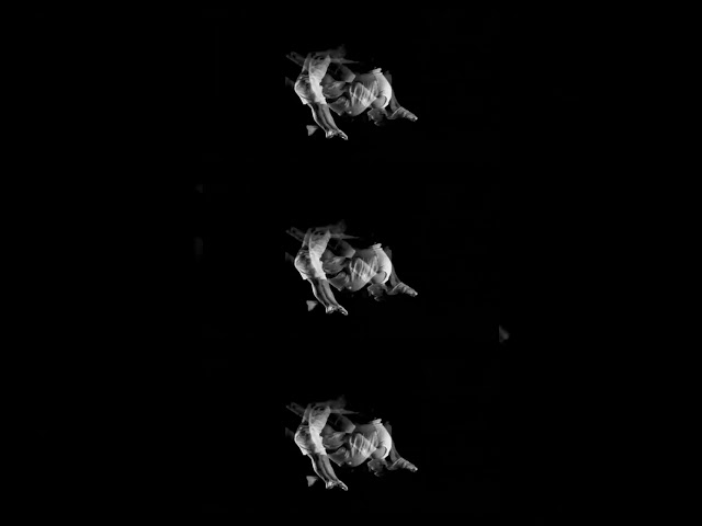 Editors - Munich | From The Archives #Shorts