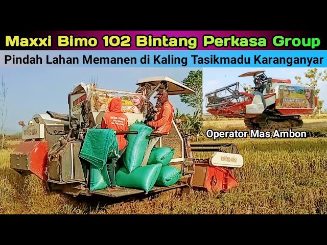 Maxxi Bimo 102 Bintang Perkasa Group - Pindah Lahan Memanen di Kaling Tasikmadu Karanganyar Jateng
