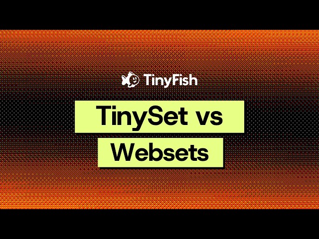 Tinyset (Formerly BigSet) vs Exa Websets: Which Builds the Better Dataset?