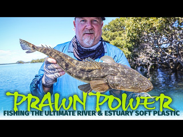 The Ultimate Prawn Lure - How to Fish the ZMan PrawnZ Elite for Flathead, Bream and More!