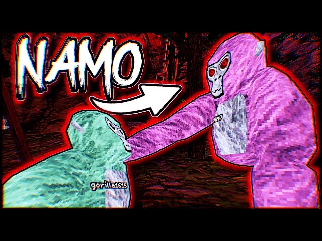 Ghost trolling as NAMO in Gorilla Tag... (crazy reactions)