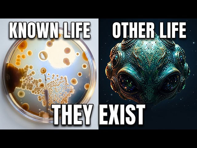 We've Only Seen One Form of Life | Here's What Else Exists