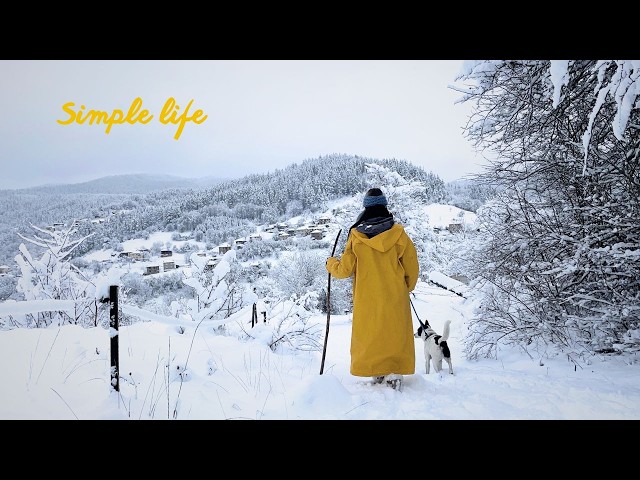 I chose to live alone in the mountains. Here’s why.