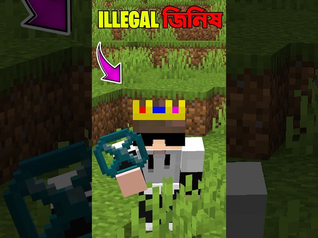 Minecraft Most Illegal Item #minecraft