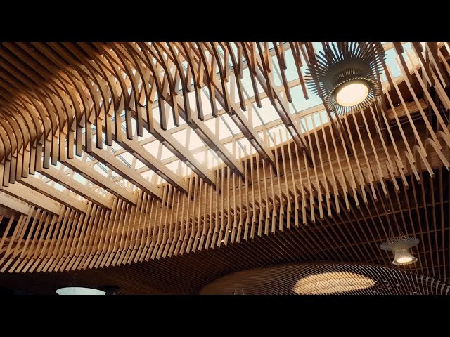 Bluebeam | PDX Reimagined: Building America’s Most Ambitious Airport Project