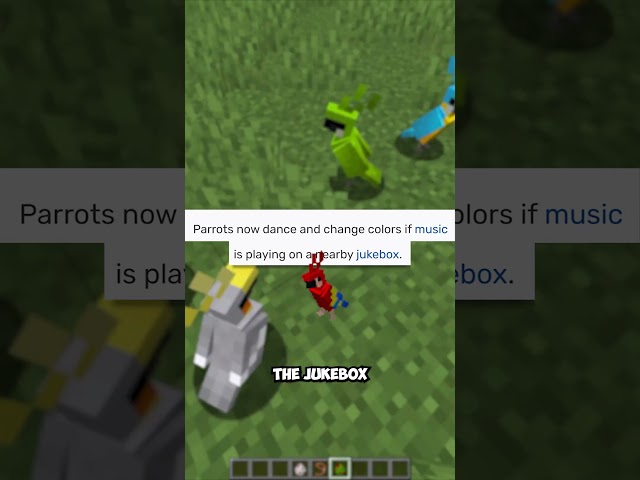 another jeb_ easter egg?