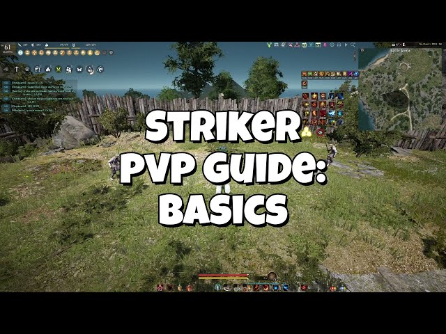 BDO Striker PVP Guide - Awakening Basics
