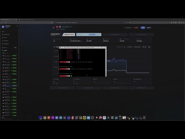 BOTNET SHOWCASE | CHEAPEST ON THE MARKET | BEST L4&L7 | Miro C2/API