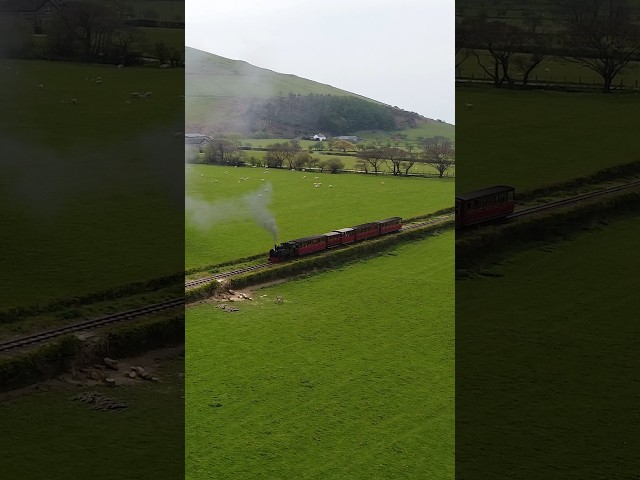 🚂 Steam Train from the Sky | Talyllyn Railway #train #railway #drone