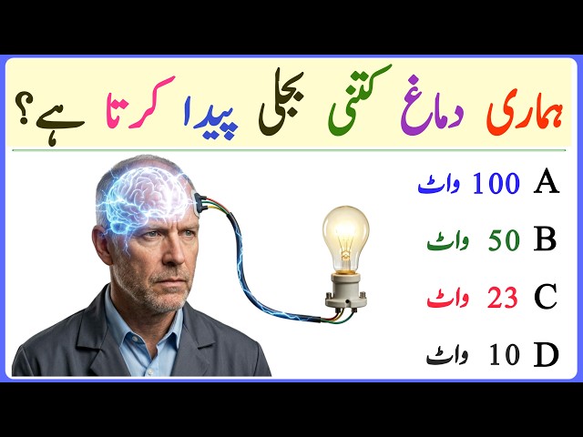 General Knowledge Quiz in Urdu | 25 GK Questions & Answers | World GK Quiz | Brain Test