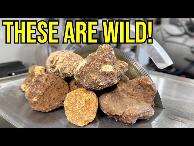 I Cut a Pile Of WEIRD (And Expensive) Rocks... The Results Will Blow Your Mind!