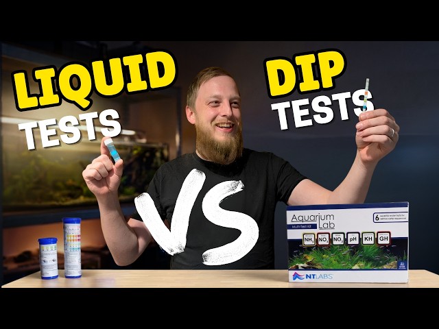 Your Fish Could Be Sick Because You're Testing Water Wrong