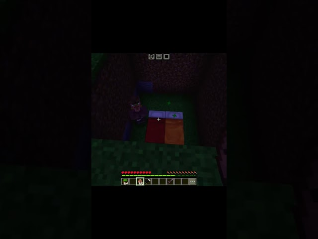 Minecraft🫨
