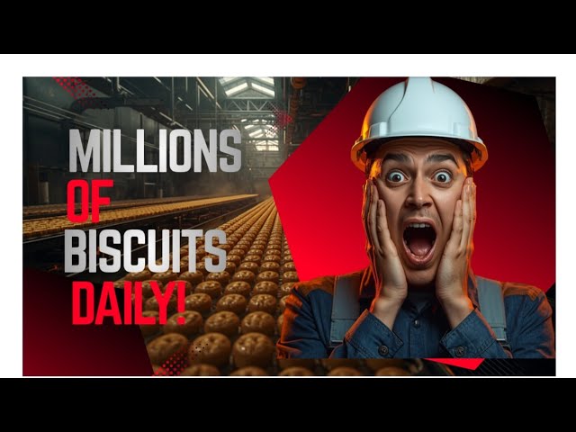 Inside the Biscuit Factory: How Millions Are Made Every Single Day