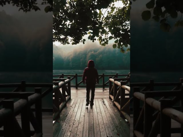 Relaxing within a minute with nature music #shots #viral