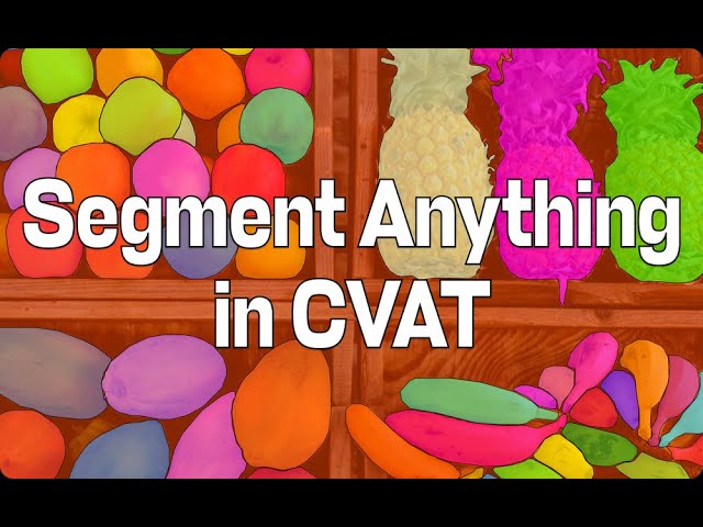 CVAT Product Tour #10: Segment Anything Model in CVAT self-hosted version