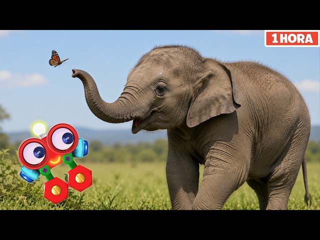 The Animal Secret for Kids! | Educational Video