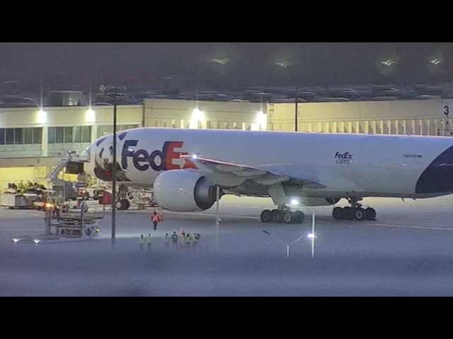 Pandas touch down in Atlanta!