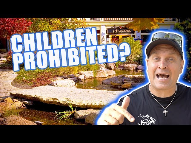 INTERACTIVE STREAM That KIDS Love!