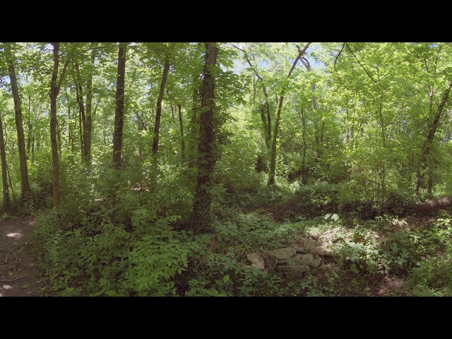 McConnell Springs Park
