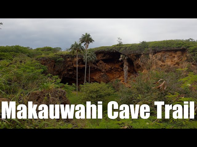 Makauwahi Cave Trail Virtual Hike